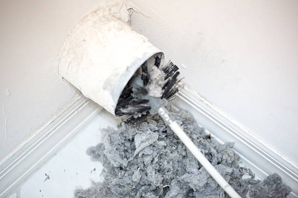 Best HVAC Duct Inspection Services  in Sussex, WI
